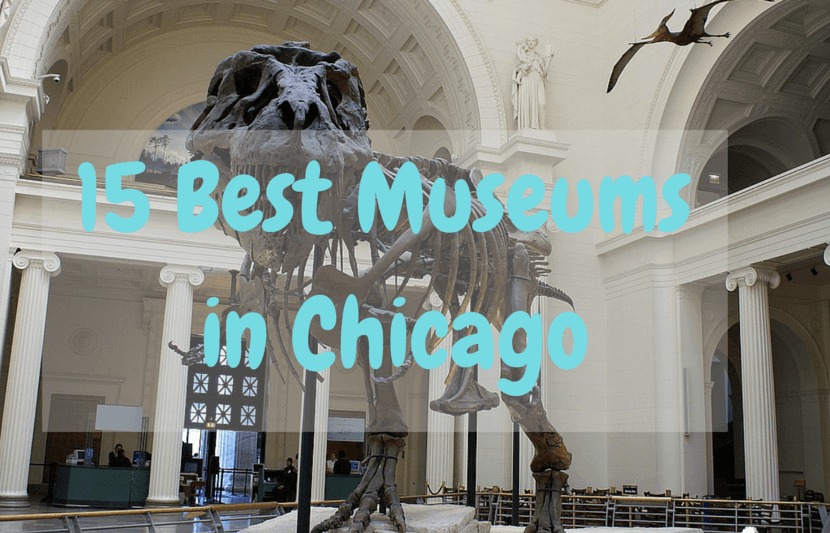 15 Best Museums to Visit in Chicago