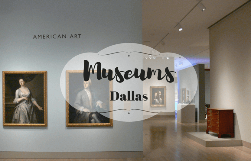 10 Chill Museums to Visit in Dallas The University Network