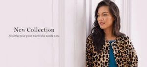 the-limited-holiday-sale