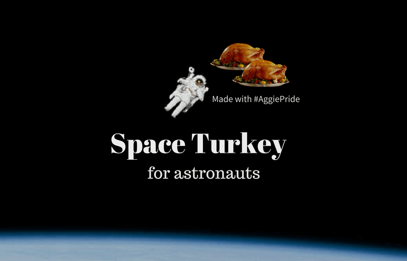 宇宙飛行士は、スペーストルコこの感謝祭のごちそうするには、Get