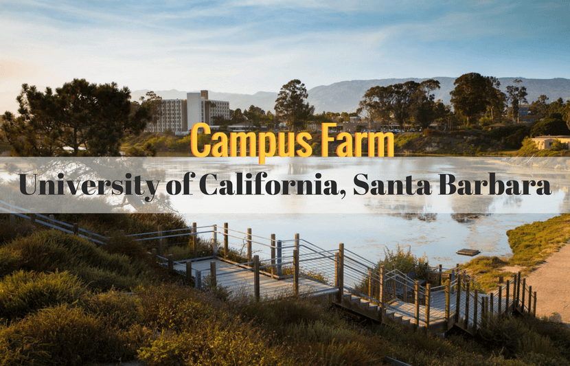 Growing Their Own: California University Tries Its Hand at Farming