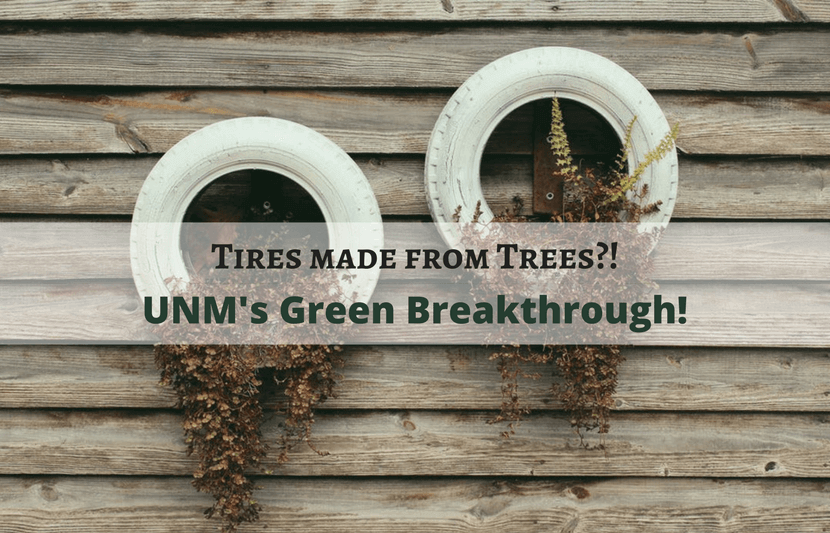 Tires Made From Trees UMN’s Green Breakthrough! The University Network