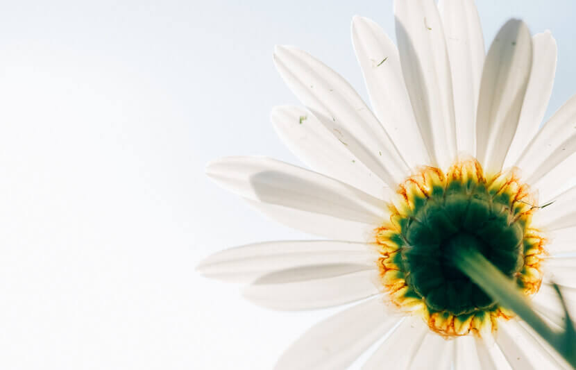 Inspirational College Scholarship – $1,000 – Apply Annually by March 15