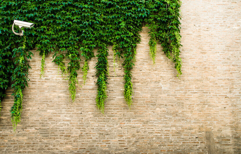 Varghese Summersett Criminal Justice Scholarship – $1,500 – Apply Annually by October 1