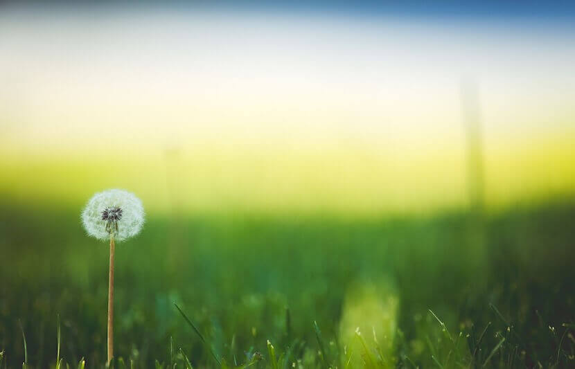 Bonnie Strangio Education Scholarship – $1,000 – Apply Annually by June 16