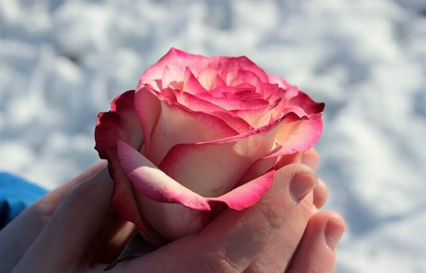 H&M Law Firm Scholarship – $4,000 – Apply Annually by August 15