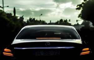 Essay contest december 2009 07 picture