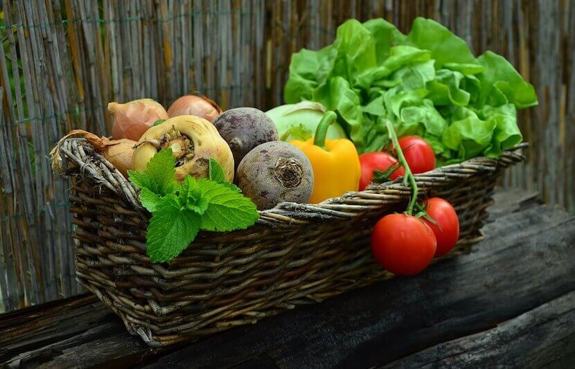 Natural Healthy Living Scholarship – $500 – Apply Annually by July 18