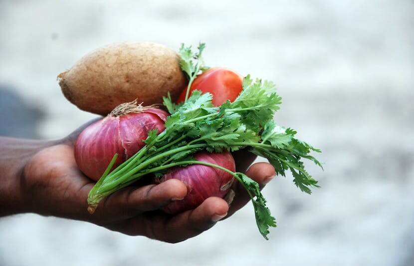University Of Kentucky Campus Kitchen’s Fight Against Hunger Beefed Up by Student’s Research
