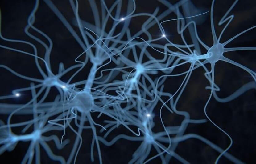 University of Minnesota Researchers Take an Engineering Approach to Prevent Cancer From Spreading