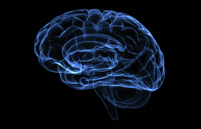 Cardiff University Researchers Get Closer to A Cure for Alzheimer’s