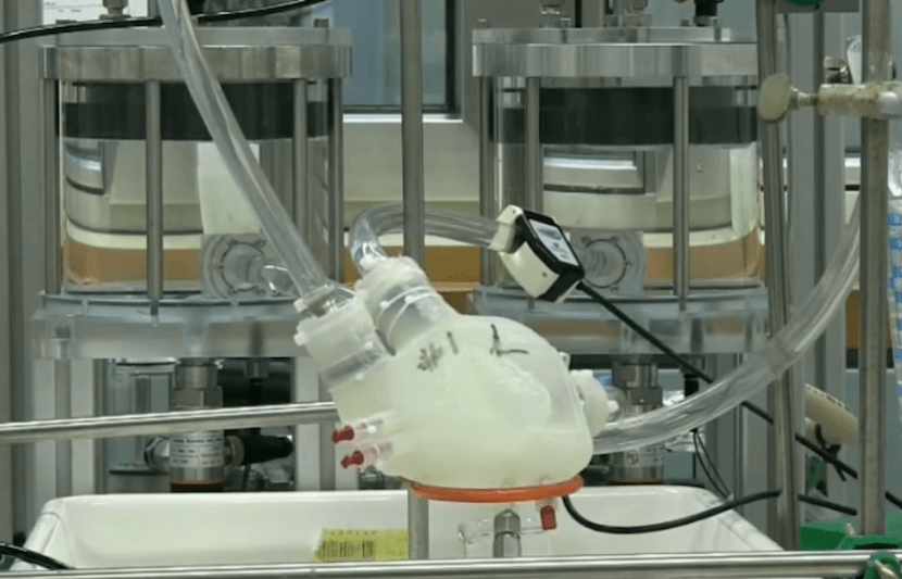 ETH Zurich Researchers Develop Soft Artificial Heart Using 3D-Printing Method and Silicone