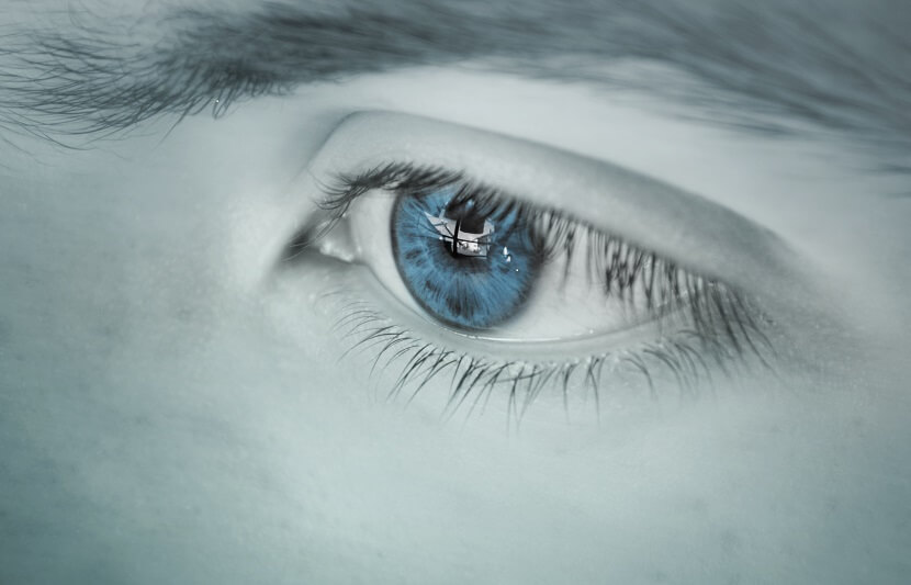 University of Washington School of Medicine Researchers’ Success in Regenerating Retinal Cells in Mice Has Potential to Restore Human Sight