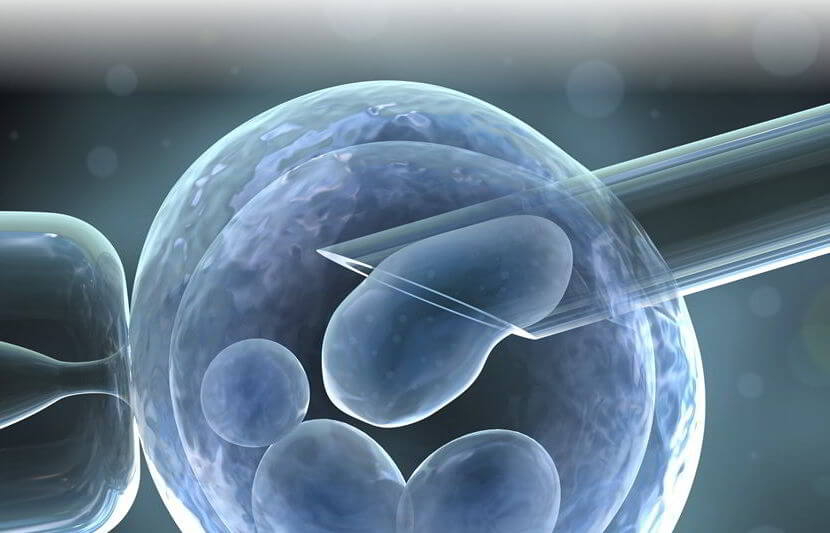 University of Adelaide Researchers Develop New Imaging Technique That Will Help Improve Embryo Selection for In Vitro Fertilization