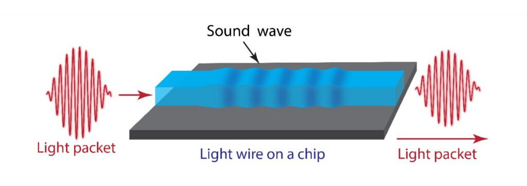 microchip