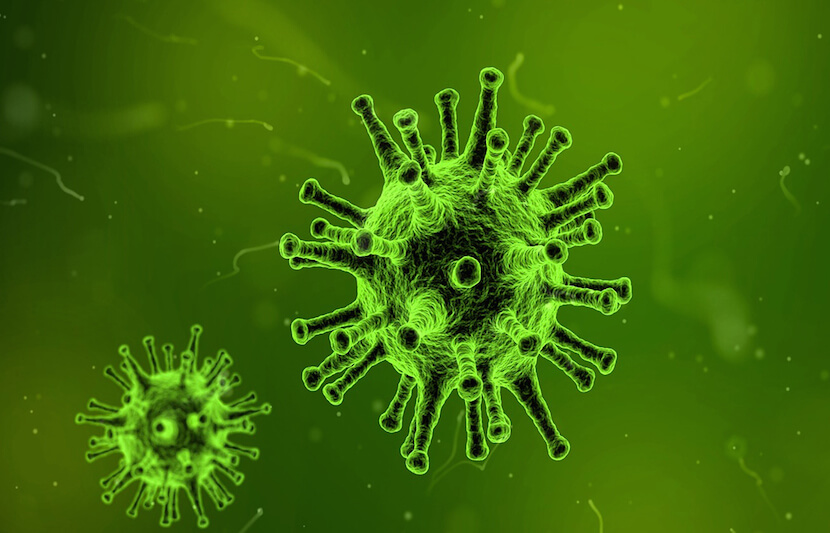 Treatment for Superbug ‘Could Lie Within Our Bodies’ Natural Defenses’