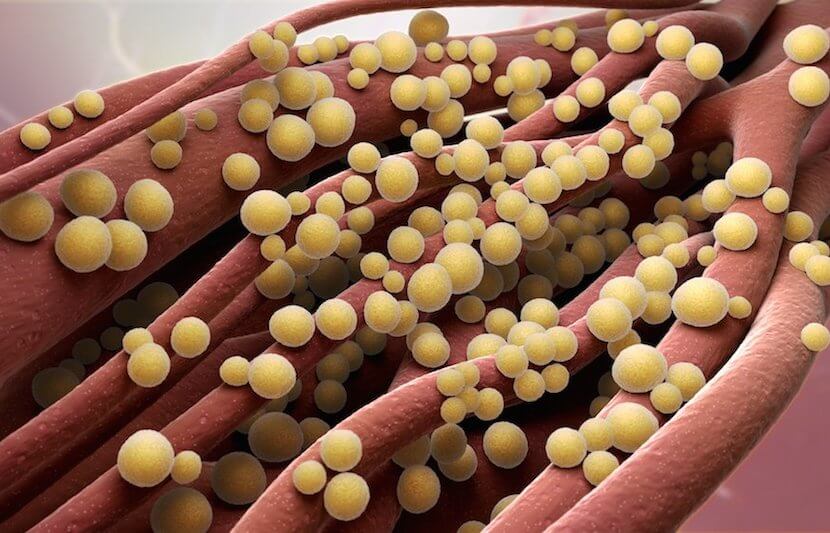 New Research by Lehigh University to ‘Trick’ Bacteria Into Revealing ‘Weak Spots’ in Cell Wall