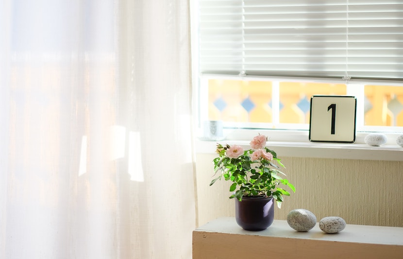 SelectBlinds.com College Scholarship – $1,000 – Apply Annually by June 15