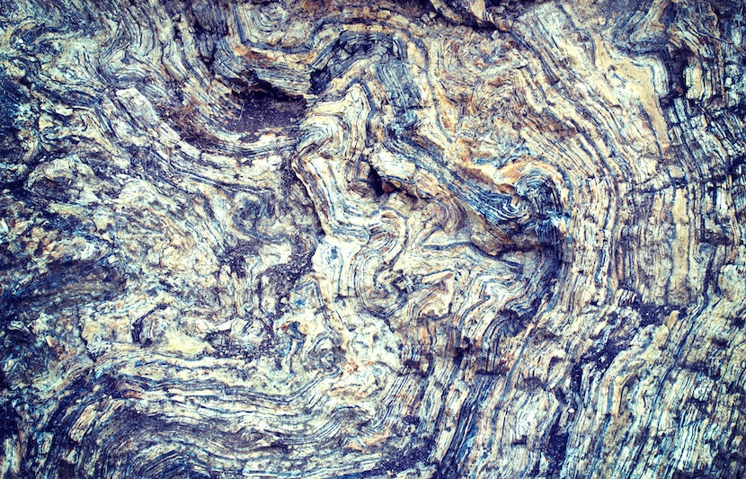 3D Virtual Tour Through Rock Unlocks Fossil Mystery