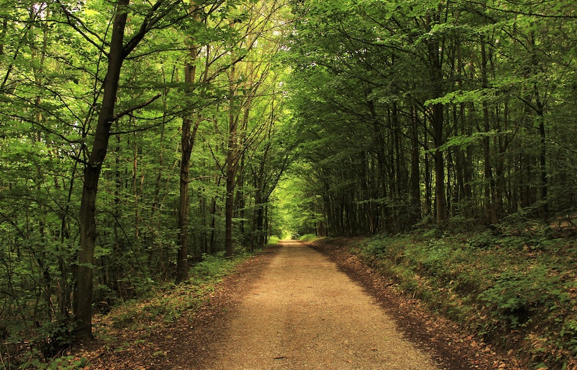 Find Your Path Scholarship 2018 – $500 – Apply by August 8