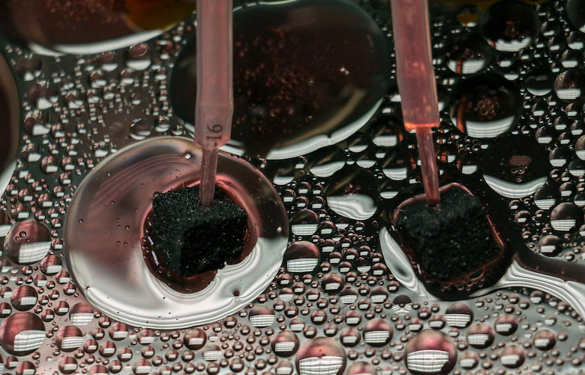 Oil Spills? Sustainable High-Tech Sponge Could Be the Answer