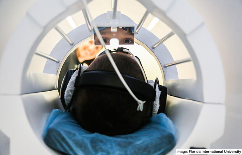 Learning Physics Can Activate New Parts of the Brain