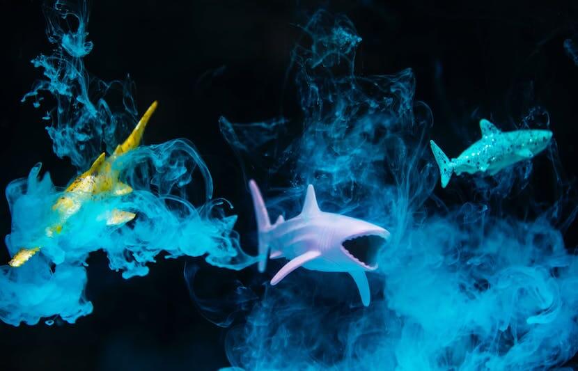 Shark Skin-Inspired Surface Can Attack Bacteria