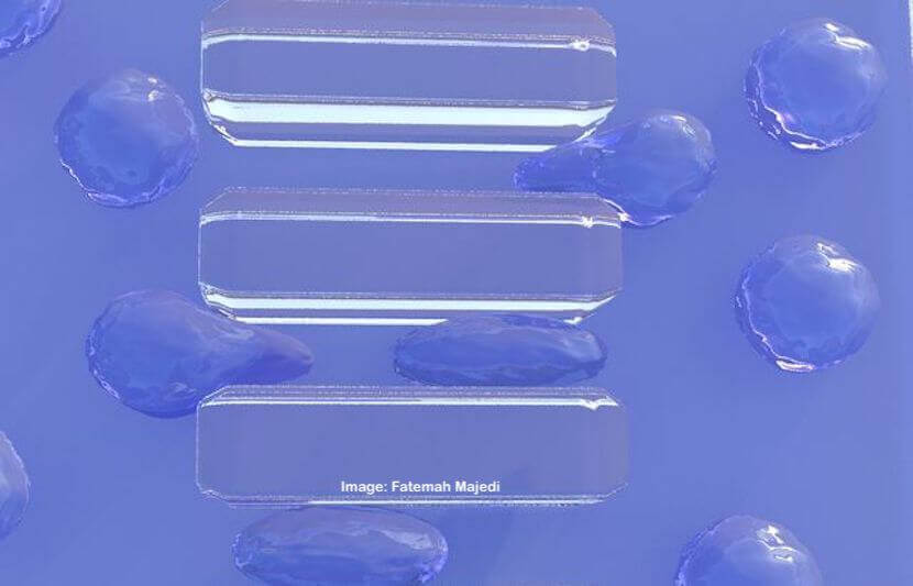 Researchers Create Synthetic White Cells to Fight Disease