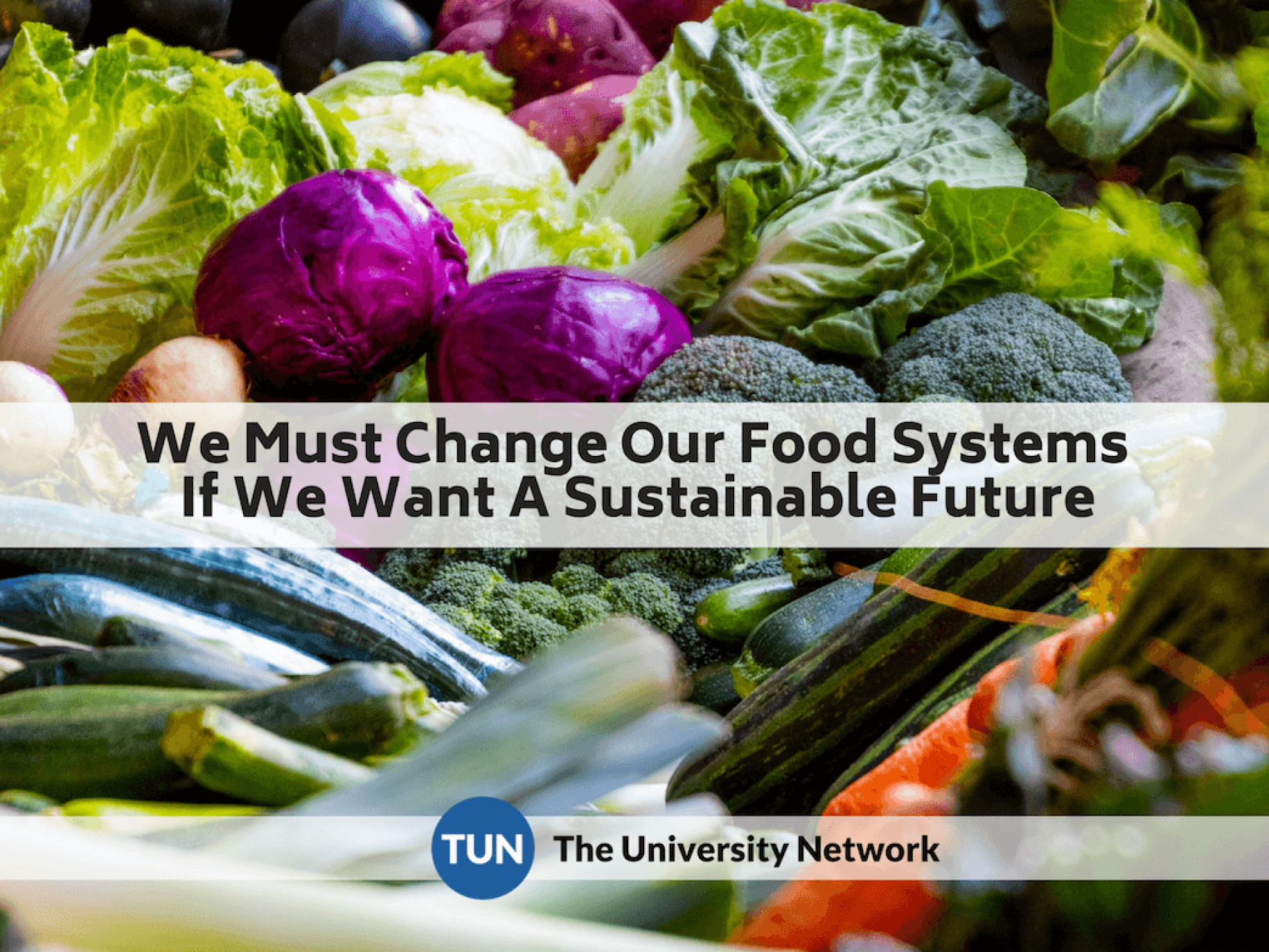 Changes In Food Systems iPhone | The University Network