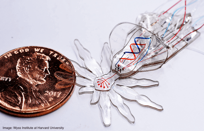 New Method Leads to Tiny, Soft Robots for Delicate Procedures