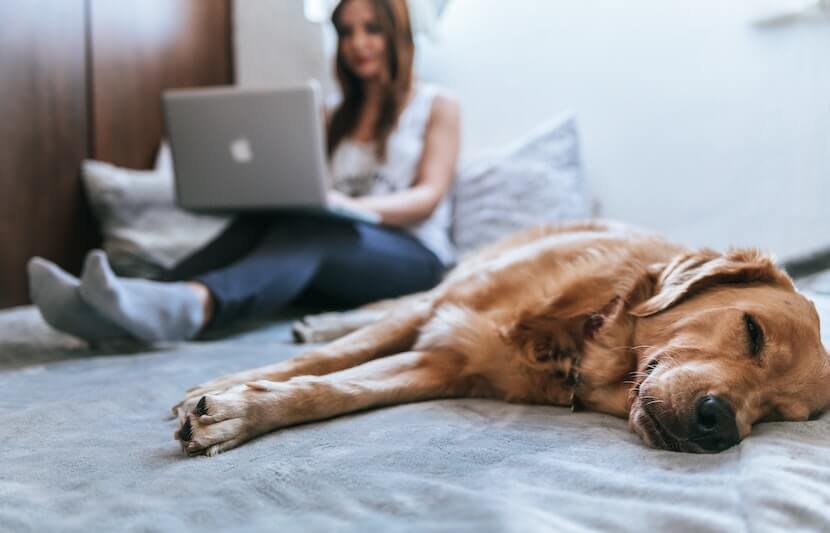 Why High-Speed Internet Is Depriving You of Sleep