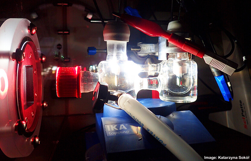 Semi-Artificial Photosynthesis: A New Way to Turn Sunlight Into Fuel