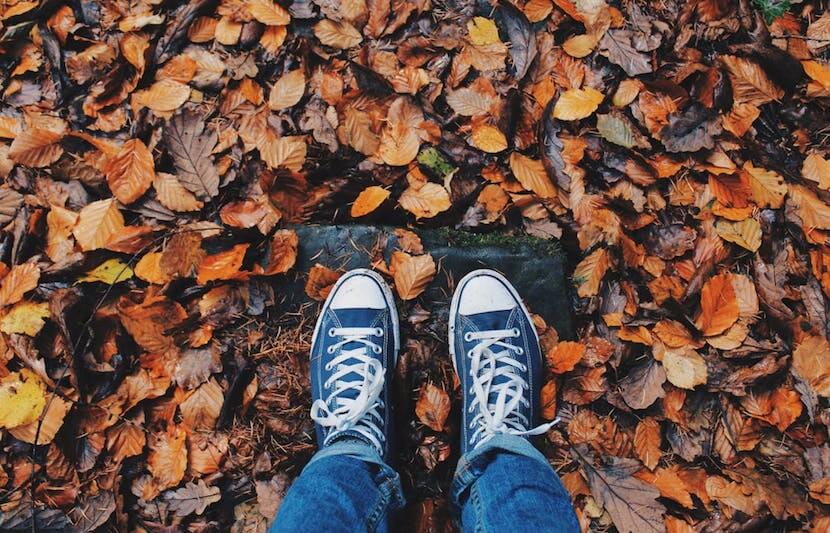 87 Fall Semester Scholarships Worth $1,253,974+