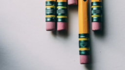 If You Thought Colleges Making the SAT Optional Would Level The Playing Field, Think Again