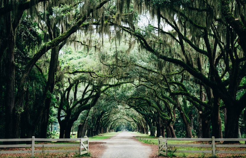 A Broke Student’s Travel Guide to Savannah