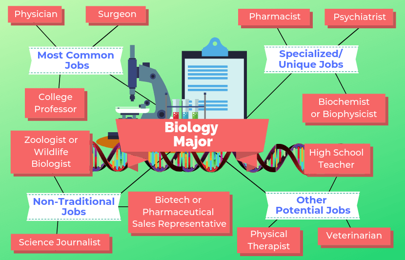 12 Jobs for Biology Majors | The University Network