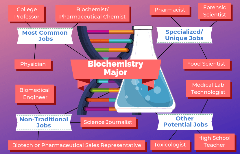12 Jobs for Biochemistry Majors | The University Network