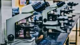 CRISPR Babies Raise an Uncomfortable Reality – Abiding by Scientific Standards Doesn’t Guarantee Ethical Research