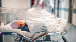 Experts Call for Halt to CRISPR Editing That Allows Gene Changes to Pass on to Children