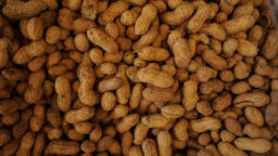 Food Allergies: What You Need to Know About the Role Your Skin Plays