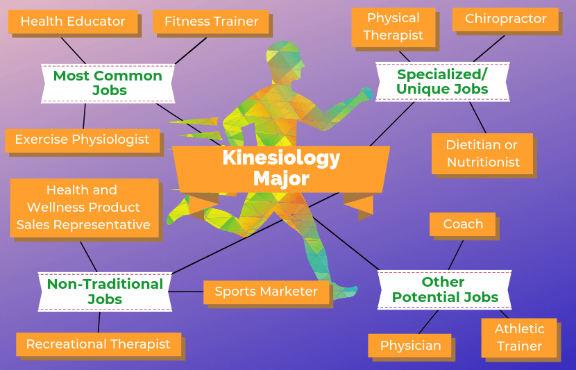 12 Jobs for Kinesiology Majors