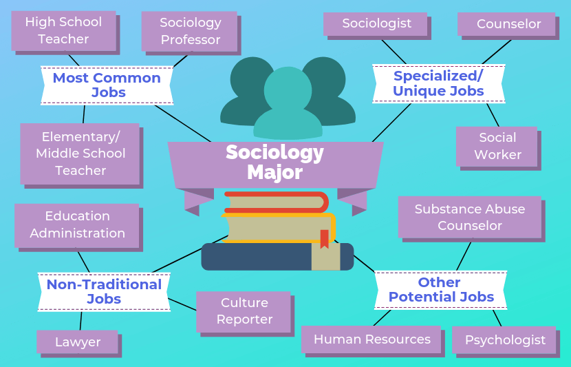 phd in sociology job opportunities