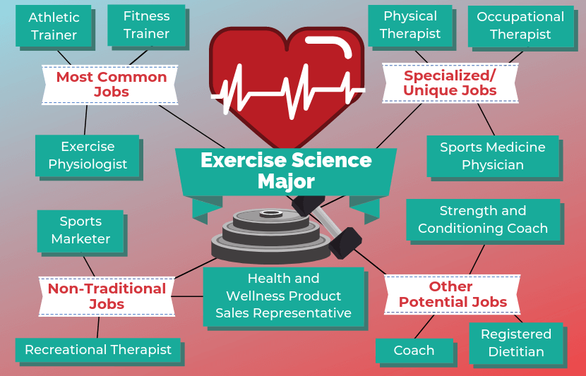 12 Jobs for Exercise Science Majors