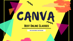 Best Online Classes for Canva