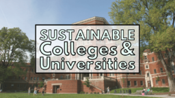 Il rapporto evidenzia i college e le università più sostenibili