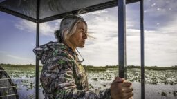 A Virtual Reality Field Trip Through South Florida’s Everglades