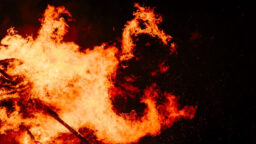 The Amazon Is Burning: 4 Essential Reads on Brazil’s Vanishing Rainforest