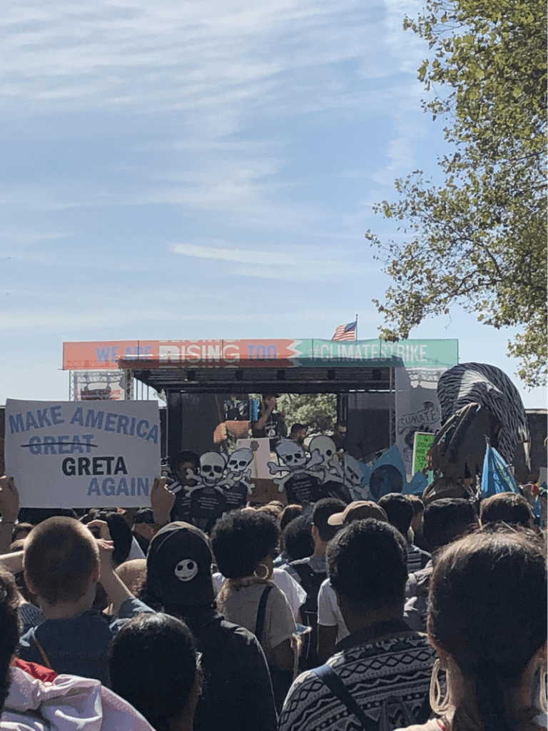 Friday For Future strike, Battery Park, NYC