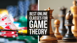 Best Online Classes for Game Theory