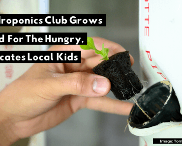 Hydroponics Club coltiva cibo per gli affamati, educa i bambini del posto